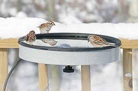 Heated Bird Baths – Feed the Birds!