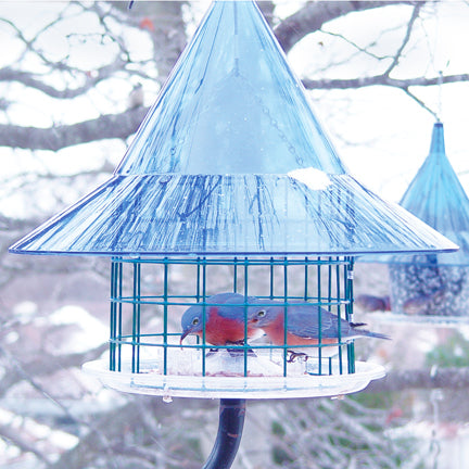 Mandarin Sky Cafe - Bluebird