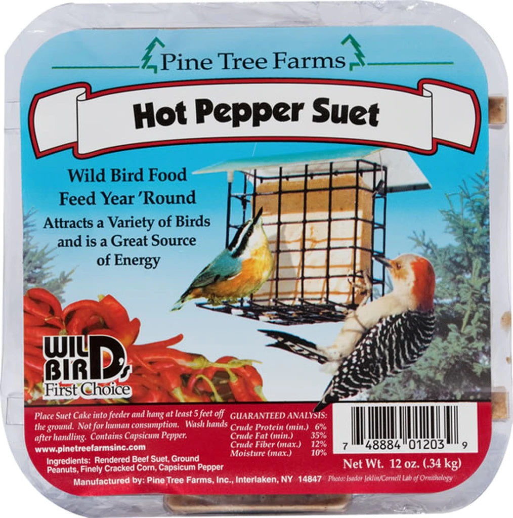 PTF Hot Pepper Suet Feed the Birds!