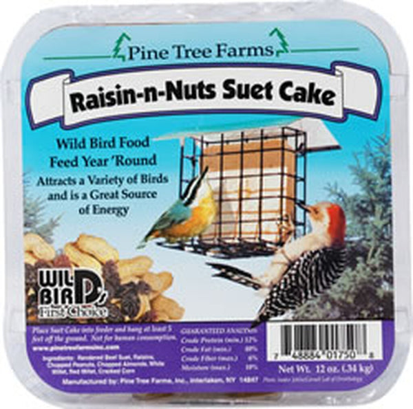 Raisin and Nut Suet Cake
