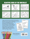 Beautiful Birds of the Northeast