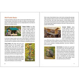 Birding for Beginners Northeast