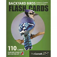 Backyard Birds of Eastern & Central America Flash Cards