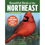 Beautiful Birds of the Northeast