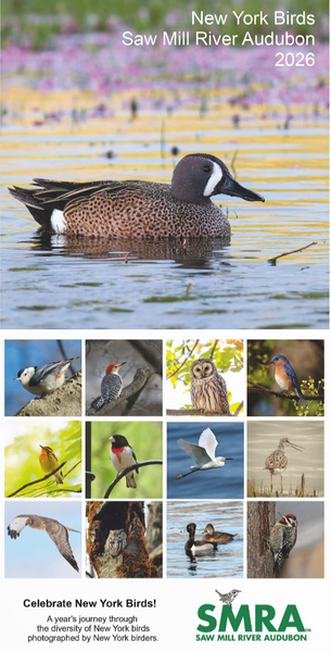 2026 Saw Mill River Audubon Calendar