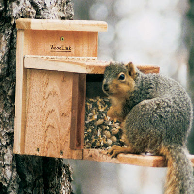 Squirrel Box Feeder