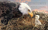 What will the Eagle Do?