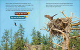 What will the Eagle Do?