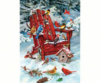 Blue jays, cardinals, and many other winter birds perched on a red adirondack chair