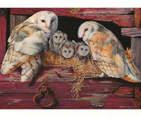 Mom, Dad and three baby barn owls on a bed of hay