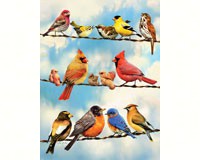500 piece puzzle with various birds on a wire