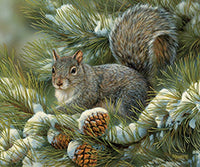 Gray squirrel on a snow covered pine tree