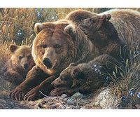Mama grizzly and her three cubs