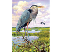The Heron sanctuary provides a peaceful place in the wetlands for these majestic birds to come and go.