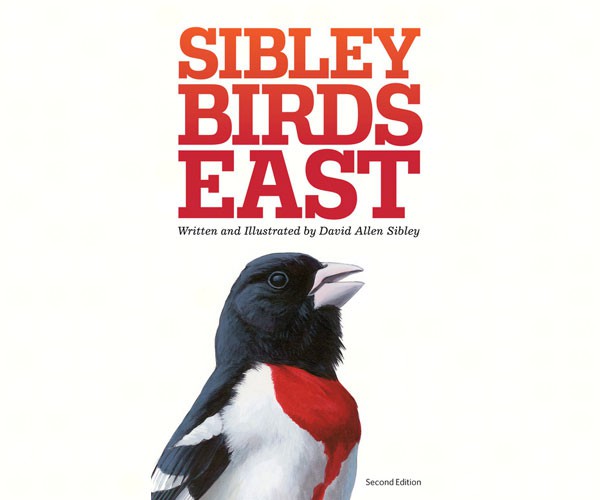 Sibley Birds East by David Allen Sibley.  Red Breasted Grosbeak on cover.