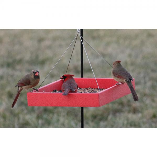 Red plastic platform feeder with drainage screen and metal hanging wires